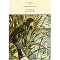 The Brushwood Boy - Illustrated by F. H. Townsend - Hardcover