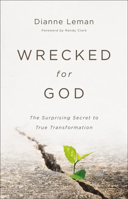 Wrecked for God: The Surprising Secret to True Transformation - Paperback