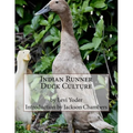 Indian Runner Duck Culture - Paperback