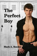 The Perfect Boy - Paperback