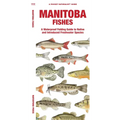 Manitoba Fishes - Paperback