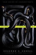 Slow Lightning: Volume 106 - Paperback