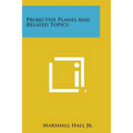 Projective Planes and Related Topics - Paperback