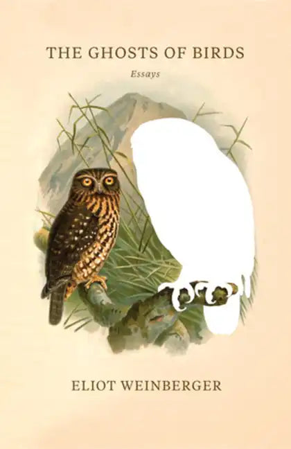 The Ghosts of Birds - Paperback