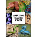 Amazing Snakes Facts: Fun Facts about Snakes Guaranteed to Blow Your Mind - Paperback