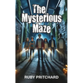 The Mysterious Maze - Paperback