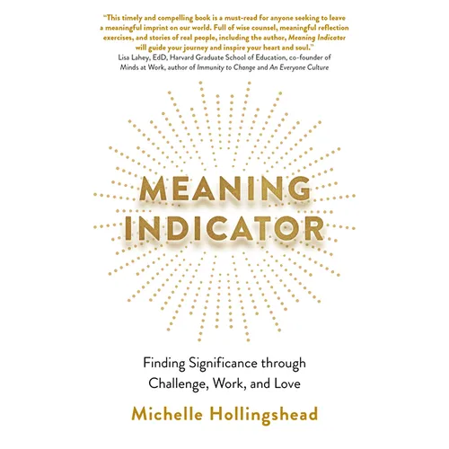 Meaning Indicator: Finding Significance Through Challenge, Work, and Love - Paperback