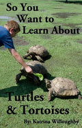 So You Want to Learn About Turtles & Tortoises - Paperback