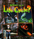 What Is a Life Cycle? - Paperback