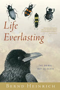Life Everlasting: The Animal Way of Death - Paperback