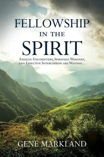 Fellowship in the Spirit: Angelic Encounters, Spiritual Warfare, and Effective Intercession Are Waiting... - Paperback