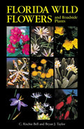 Florida Wild Flowers and Roadside Plants - Paperback