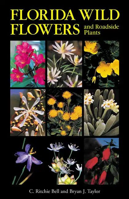 Florida Wild Flowers and Roadside Plants - Paperback