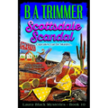 Scottsdale Scandal: a fun, romantic, thrilling adventure... - Paperback
