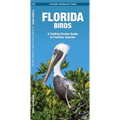 Florida Birds: A Folding Pocket Guide to Familiar Species