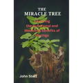 The Miracle Tree: Exploring the nutritional and medicinal benefits of moringa - Paperback