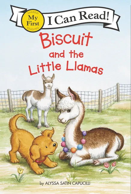 Biscuit and the Little Llamas - Paperback
