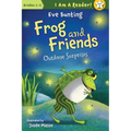 Outdoor Surprises - Hardcover