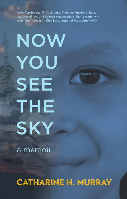 Now You See the Sky - Hardcover