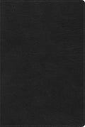 Rvr 1960 Biblia de Estudio Arcoiris, Negro Símil Piel Con Índice - Imitation Leather