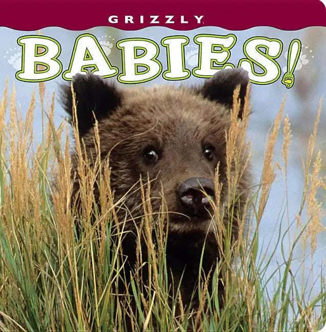 Grizzly Babies! - Board Book