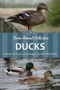 Ducks - Paperback