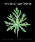 Extraordinary Leaves - Paperback
