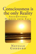 Consciousness is the only Reality. - Paperback