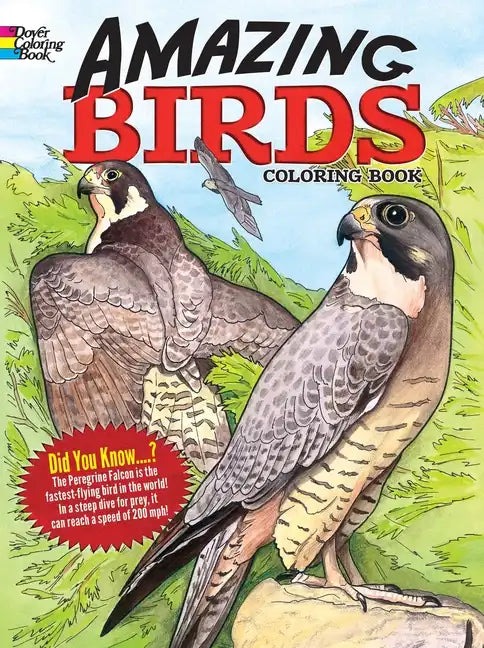 Amazing Birds Coloring Book - Paperback