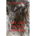 The Lede To Our Undoing - Paperback