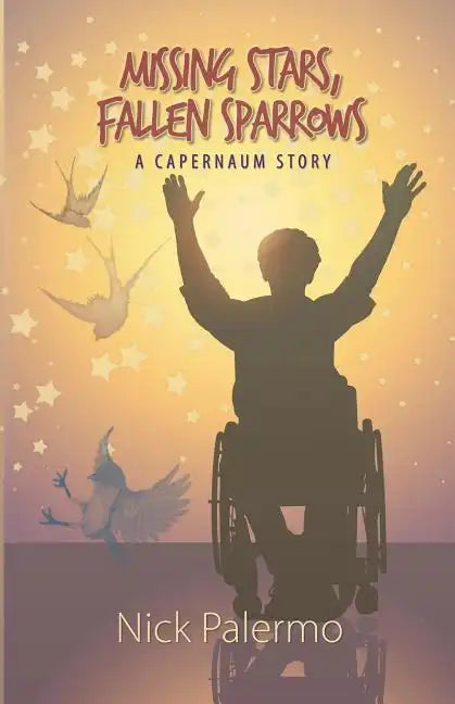 Missing Stars, Fallen Sparrows - Paperback