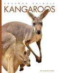 Kangaroos - Paperback