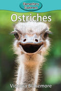 Ostriches - Paperback