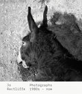 Jo Ractliffe: Photographs 1980s-Now - Hardcover