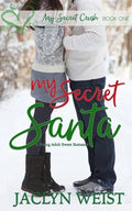 My Secret Santa - Paperback