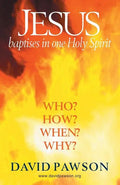 Jesus Baptises in one Holy Spirit - Paperback