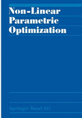 Non-Linear Parametric Optimization - Paperback