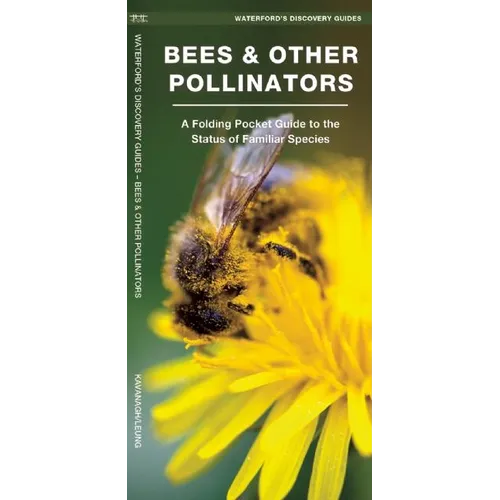Bees & Other Pollinators: A Folding Pocket Guide to Familiar Species - Paperback