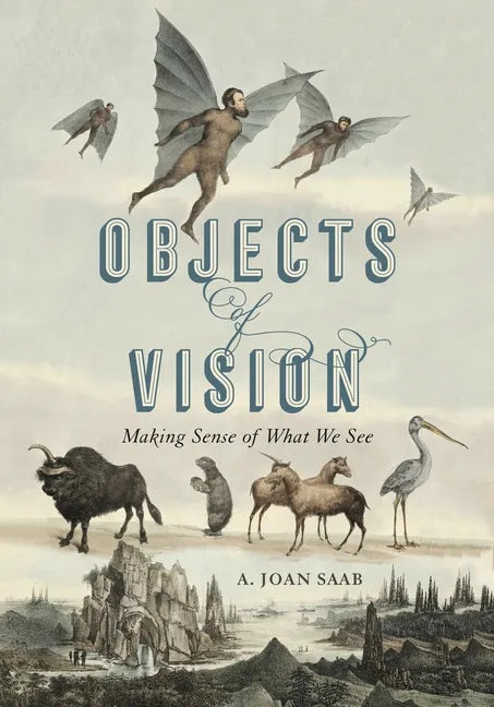 Objects of Vision: Making Sense of What We See - Hardcover
