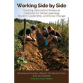 Working Side by Side: Creating Alternative Breaks as Catalysts for Global Learning, Student Leadership, and Social Change - Paperback