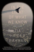 In the Light of What We Know - Paperback