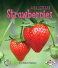 Strawberries - Paperback
