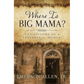 Where Is Big Mama?: The Epitome of a Proverbs 31 Woman! - Paperback