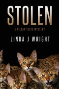 Stolen: A Kieran Yeats Mystery - Paperback