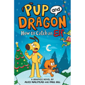 How to Catch Graphic Novels: How to Catch an Elf - Hardcover