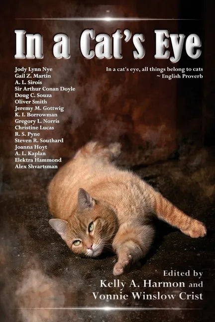 In a Cat's Eye - Paperback