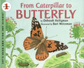 From Caterpillar to Butterfly - Paperback