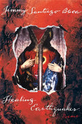 Healing Earthquakes: Poems - Paperback