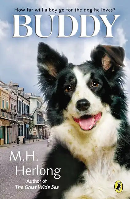 Buddy - Paperback
