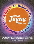 What Jesus Heard: A Guide to Biblical Hebrew for the Bible Reader - Paperback